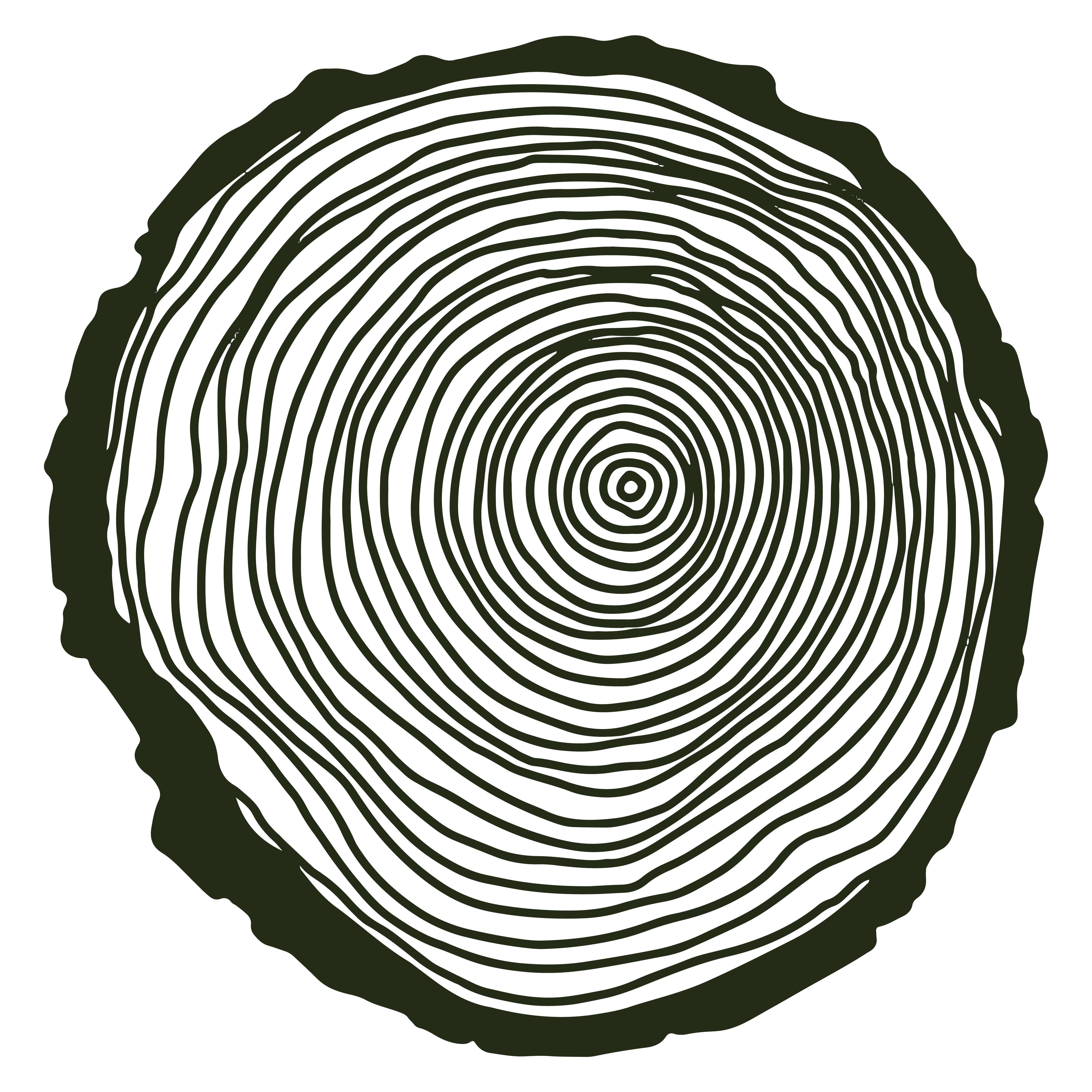 Timber ring illustration.