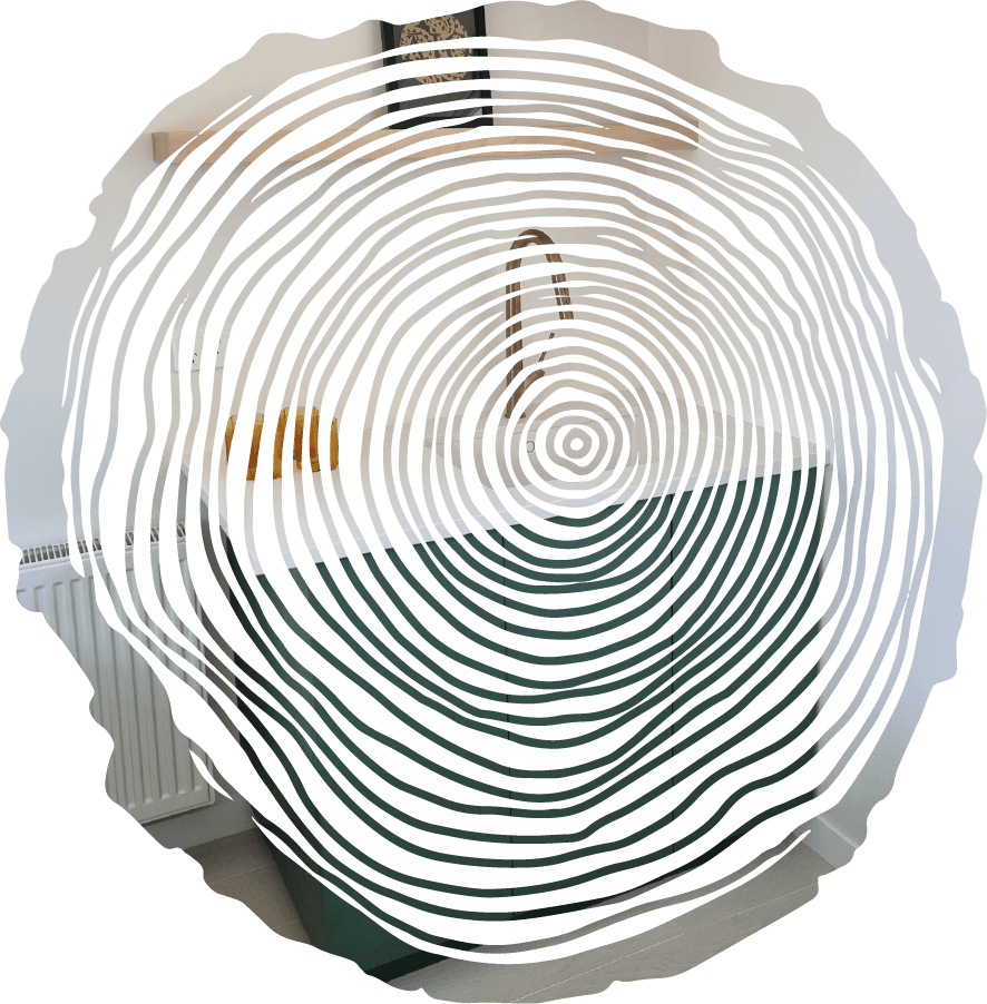 Timber ring illustration cut out of an image of a green cabinet made by Harwood Joinery Queenstown.