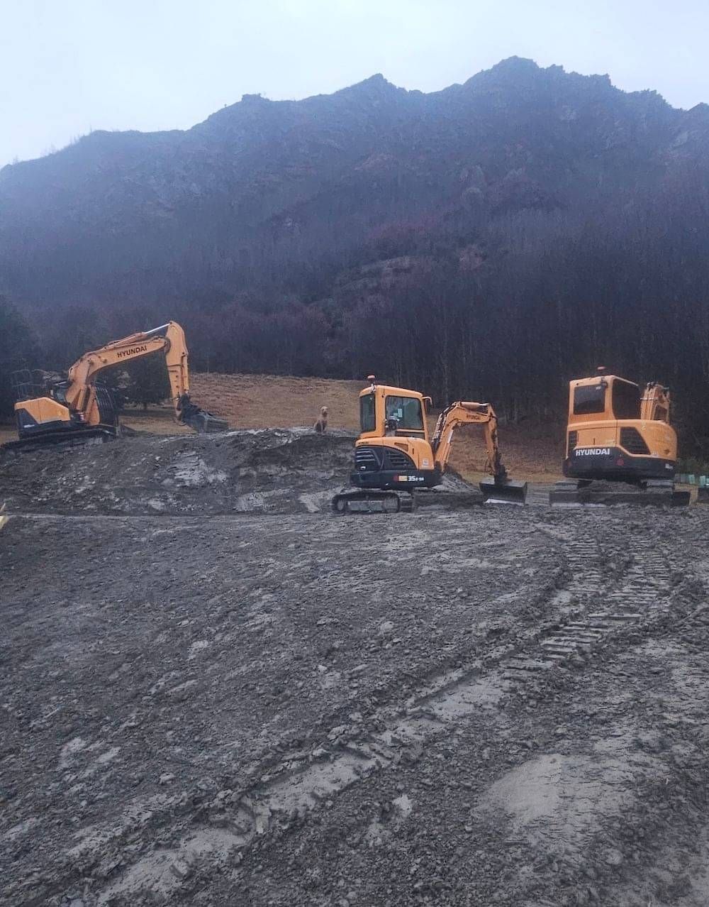 Concrete and Earths range of excavators at a section in Arrowtown.