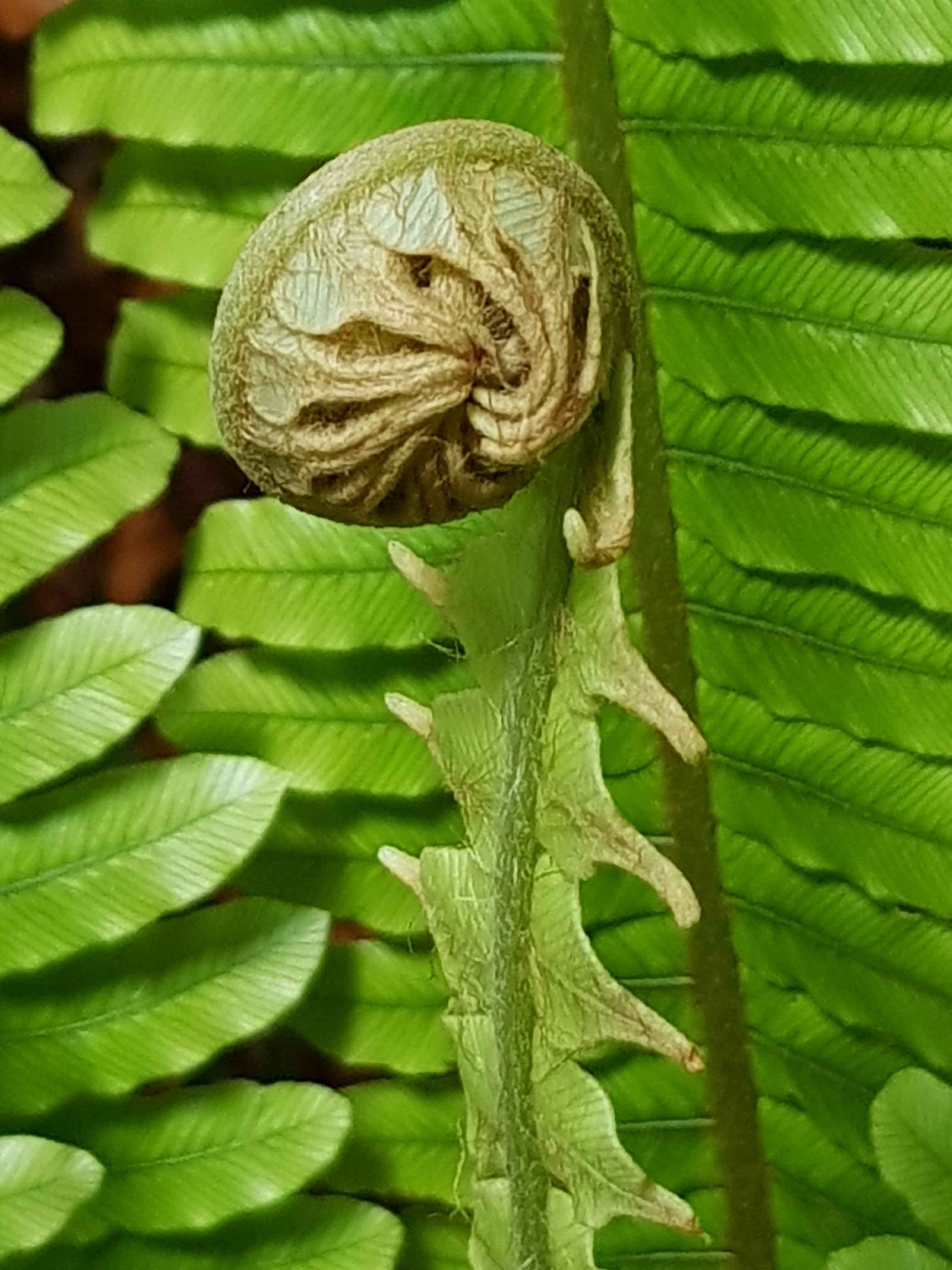 Environmental consulting by Tuatinitini for sustainable industry growth.