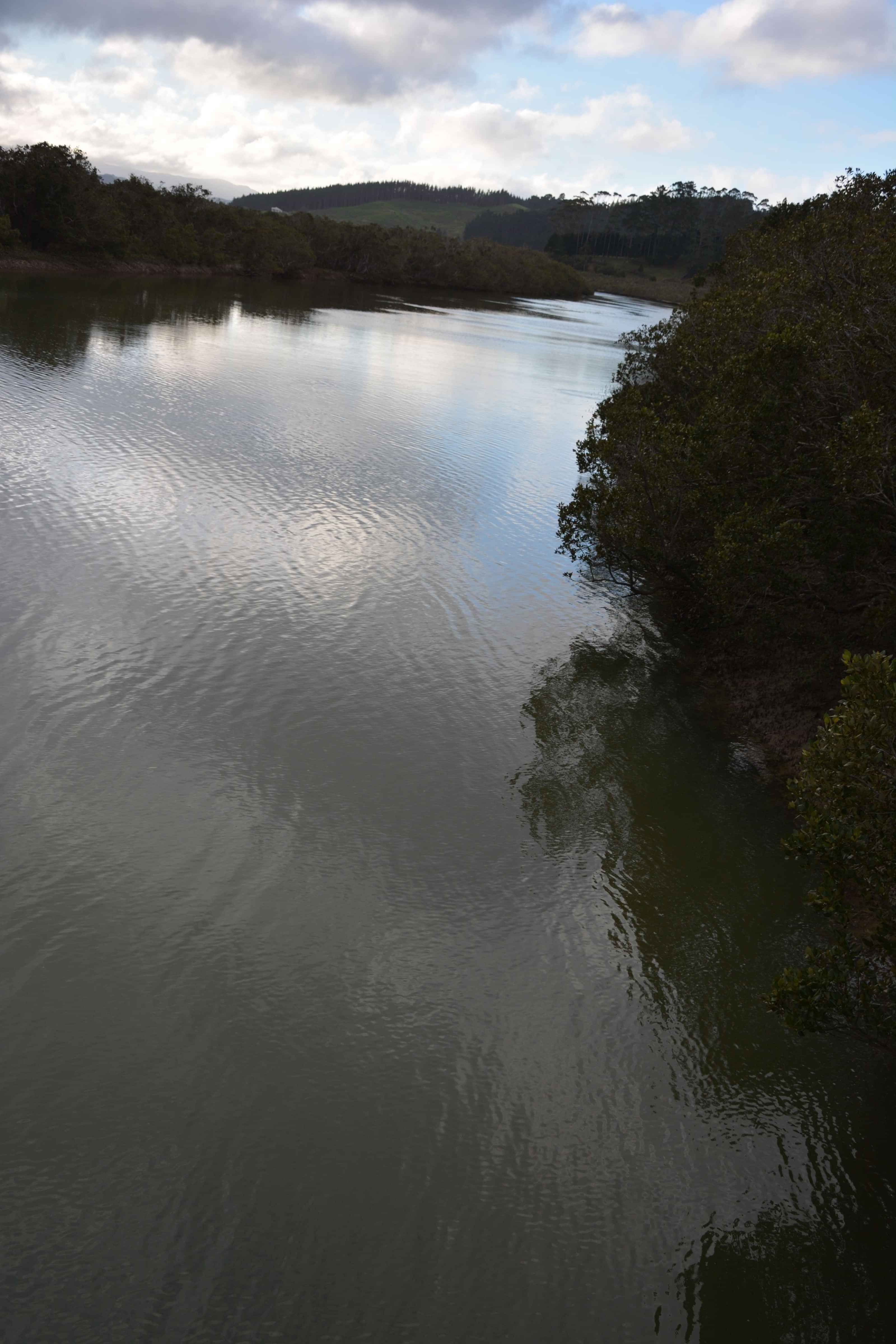 Tuatinitini’s consulting for sustainable, future-focused industry solutions.