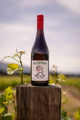 Chillin' Pinot - 2 pack