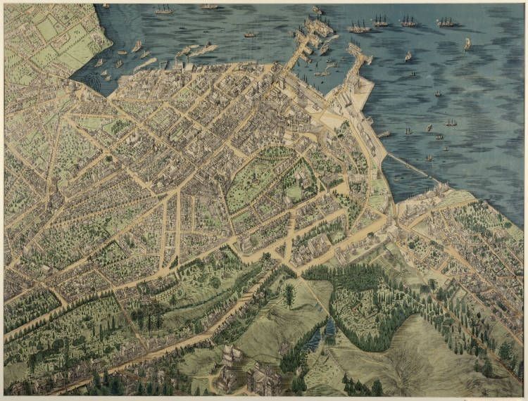 Bird's eye view of Auckland from a point one thousand feet above and one hundred feet to the rear of the hospital by George Treacy Stevens (1880s).