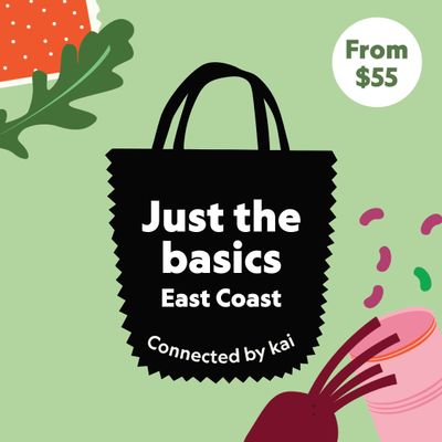Basics Kit East Coast - One off (Tolaga/Uawa available)