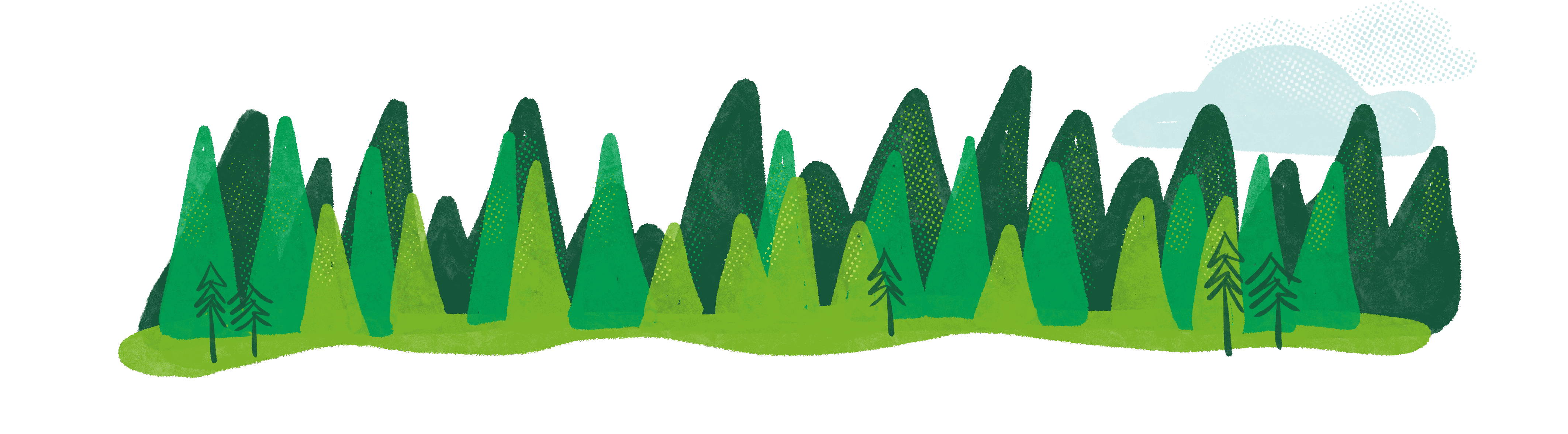 Escape to Tui Ridge Park - school and christian camps - and soak in God's creation in New Zealand