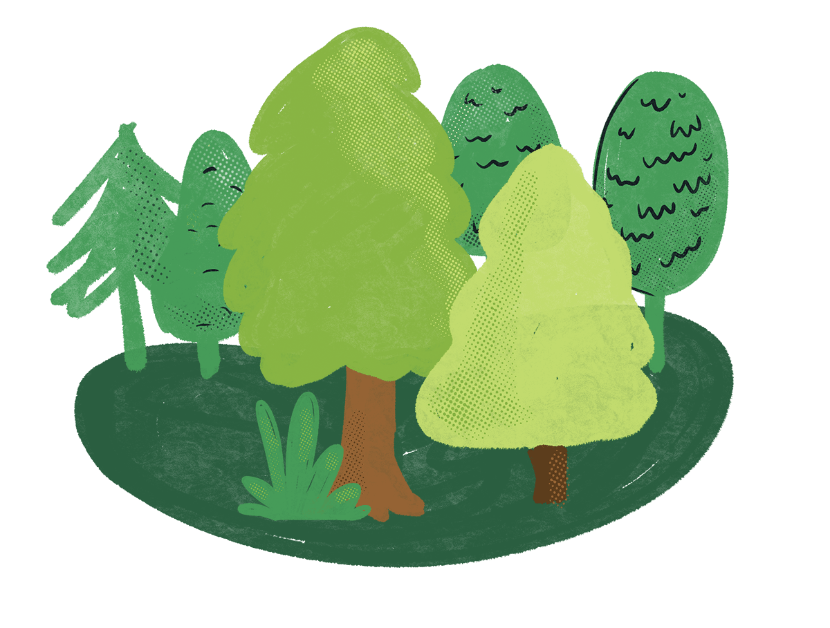 Tui Ridge Park a treelined property, perfect for school camps, church or group camps and settings.
