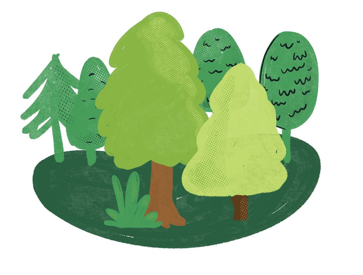 Tui Ridge Park a treelined property, perfect for school camps, church or group camps and settings.