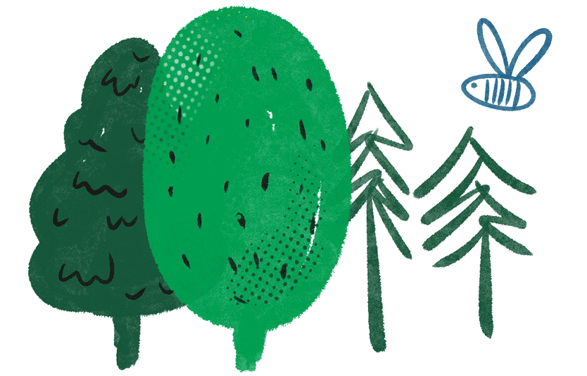 Epic adventure school holiday camps at Tui Ridge Park. Image of illsutrated mug of cocoa and marshmallows