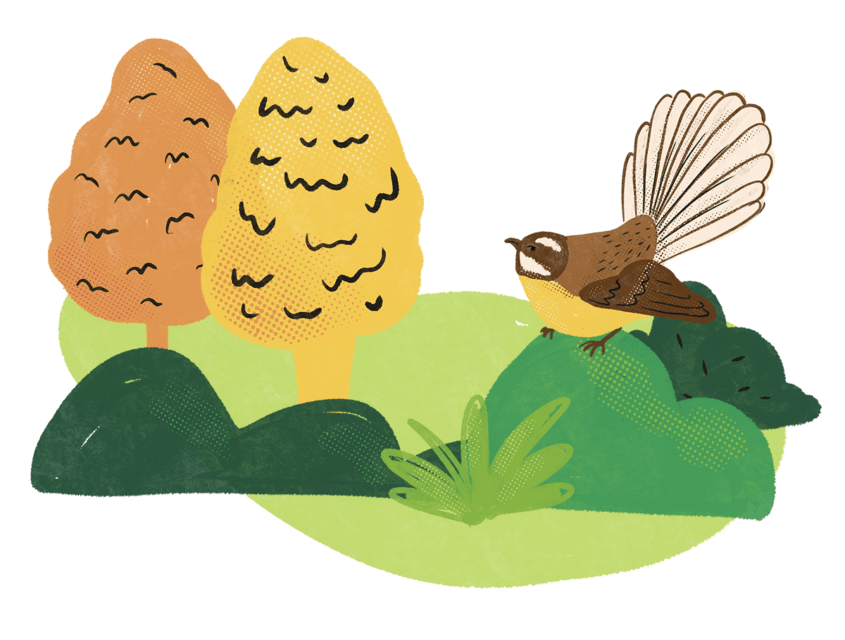 Tui Ridge Park a treelined property, perfect for school camps, church or group camps and settings.