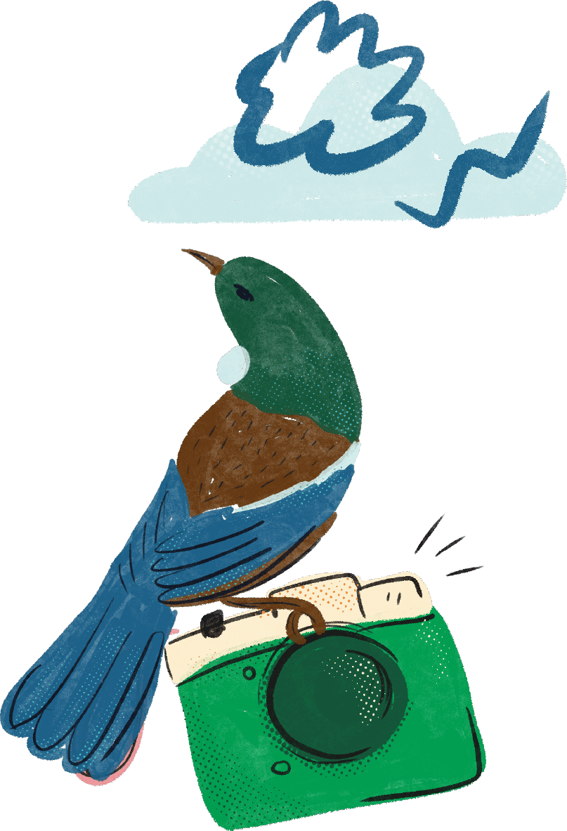 school camp and group booking inquiries Tui Ridge Park, Rotorua