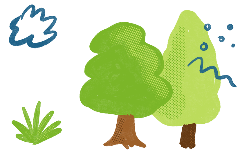 Epic adventure school holiday camps at Tui Ridge Park. Image of illsutrated mug of cocoa and marshmallows