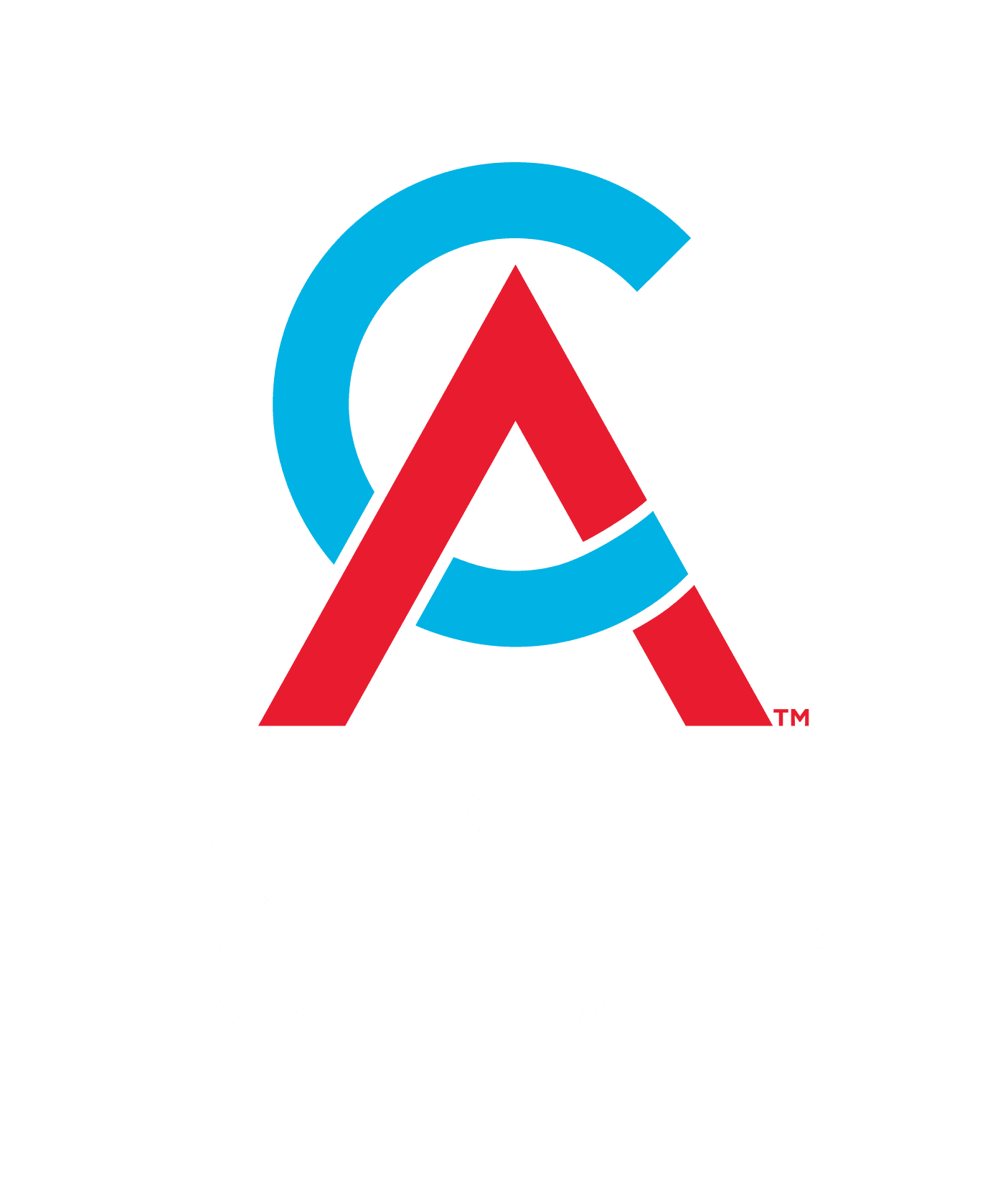 Cameron Rolls - Chartered Accountant