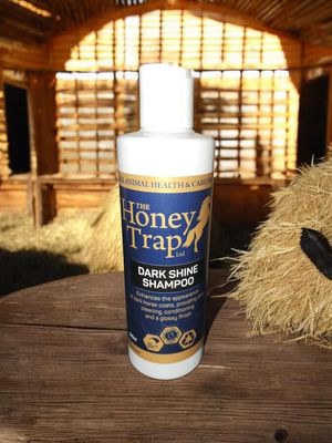 The Honey Trap Dark Shine Shampoo