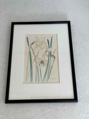 Jiřina Kaplick&aacute;, Original Master Illustration for Mid-century Botanical Publication