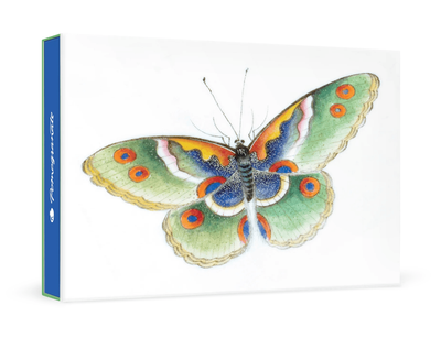 Pomegranate Butterfly Blank Small Boxed Cards