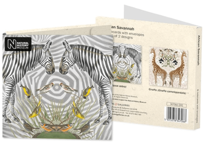 Museums &amp; Galleries Natural History Museum African Savannah Animals 8 Pack Blank Notecards