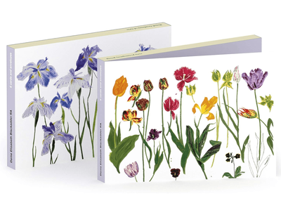 Art Press Royal Academy of Arts Elizabeth Blackadder Tulips and Irises  Pack 6 Notecards &amp; Envelopes