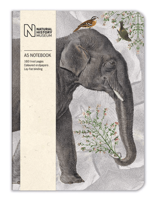 Museums &amp; Galleries Elephant A5 Luxury Notebook