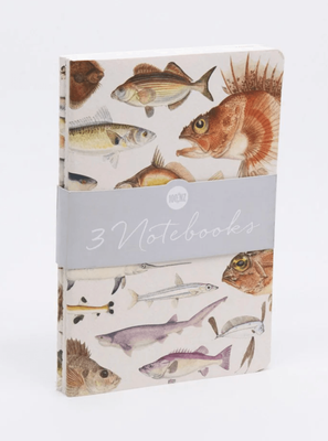 100% NZ  - Fishes of NZ Notebook Set