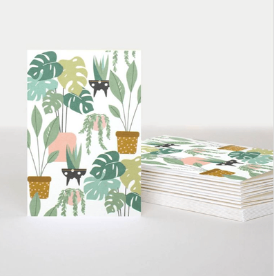 Caroline Gardner - Indoor Plants 10 Pkt - Mini Cards