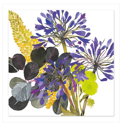 Greeting Card Art Press - Agapanthus