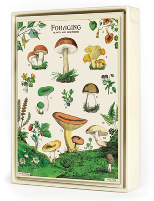 Notecards Cavallini &amp; Co Foraging 8 Pack  Boxed Cards With Envelopes