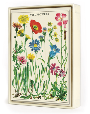 Notecards Cavallini &amp; Co Wildflowers 8 Pack Boxed Cards With Envelopes