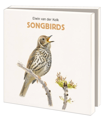 Notecards Bekking &amp; Blitz Card Folder With Env. Square: Songbirds, Elwin van der Kolk