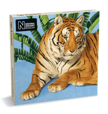 Museums &amp; Galleries  Tiger &amp; Leopard 8 Pkt Notecards