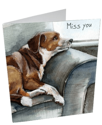 Mini Notecards: Pack of 3 Assorted Cards