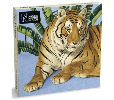 Museums &amp; Galleries Tiger &amp; Leopard 8 Pkt Notecards &amp; Envelopes