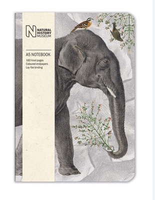 Museums &amp; Galleries Elephant A5 Luxury Notebook