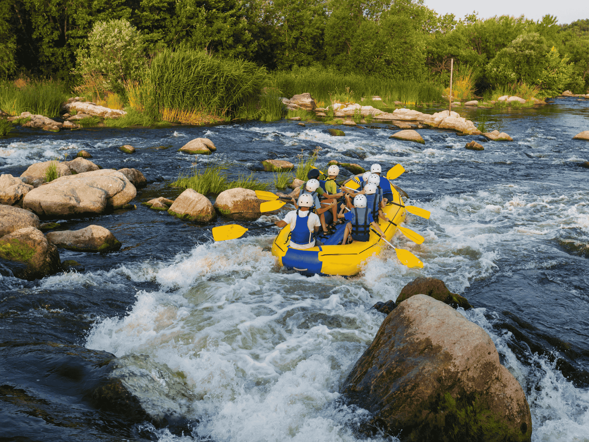 Tongariro River Rafting (White Water Rafting)