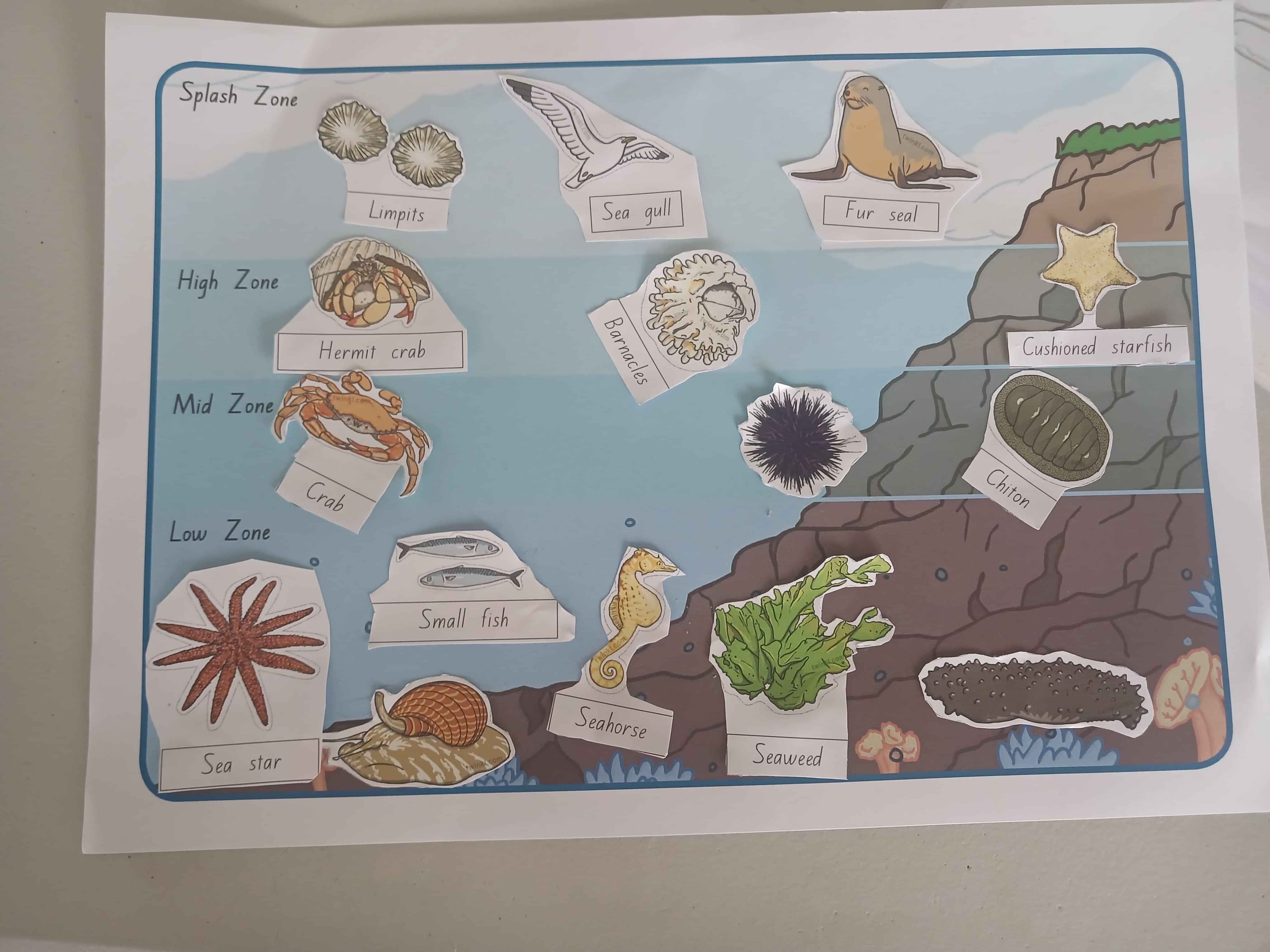 Student-created artwork