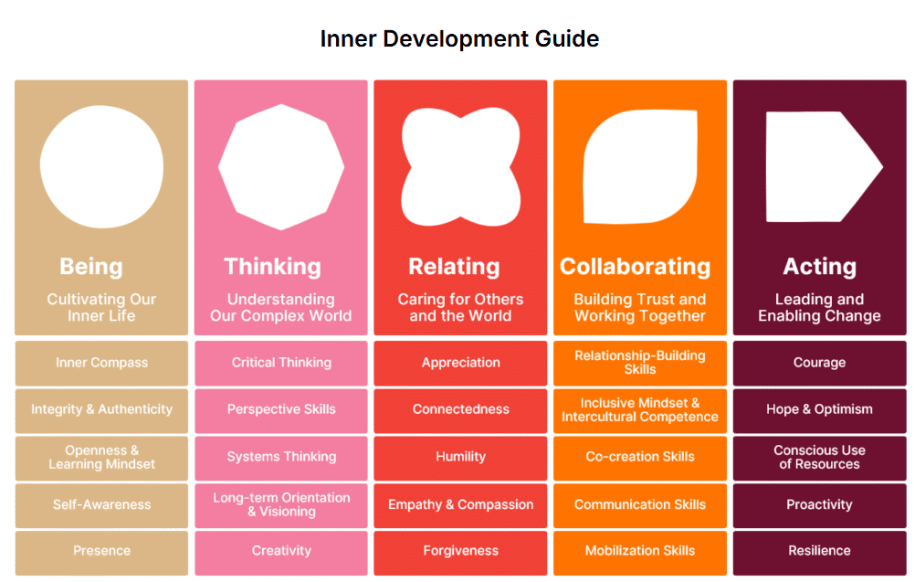 Inner Development Goals framework