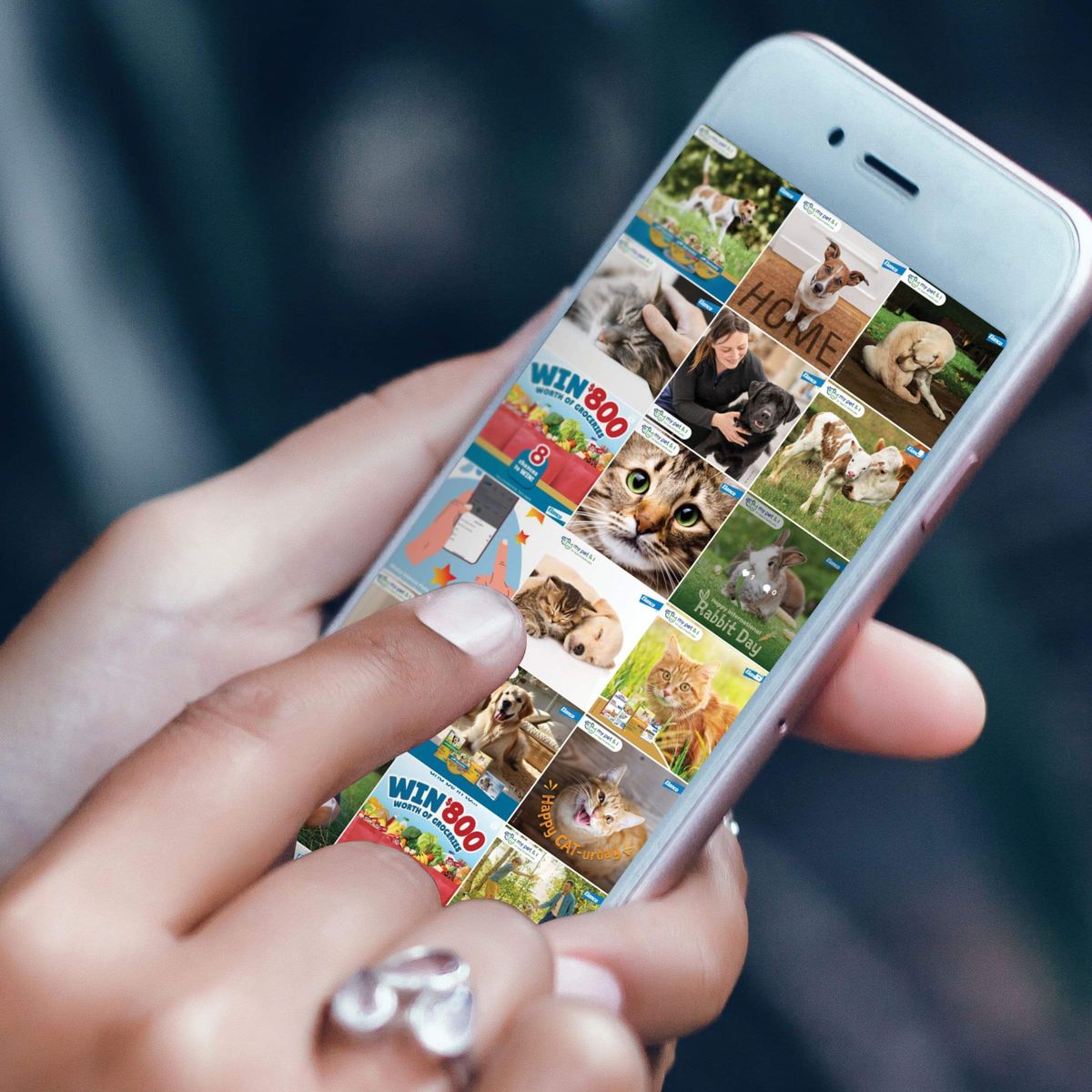Social Media Design & Management | Creative Refinery
