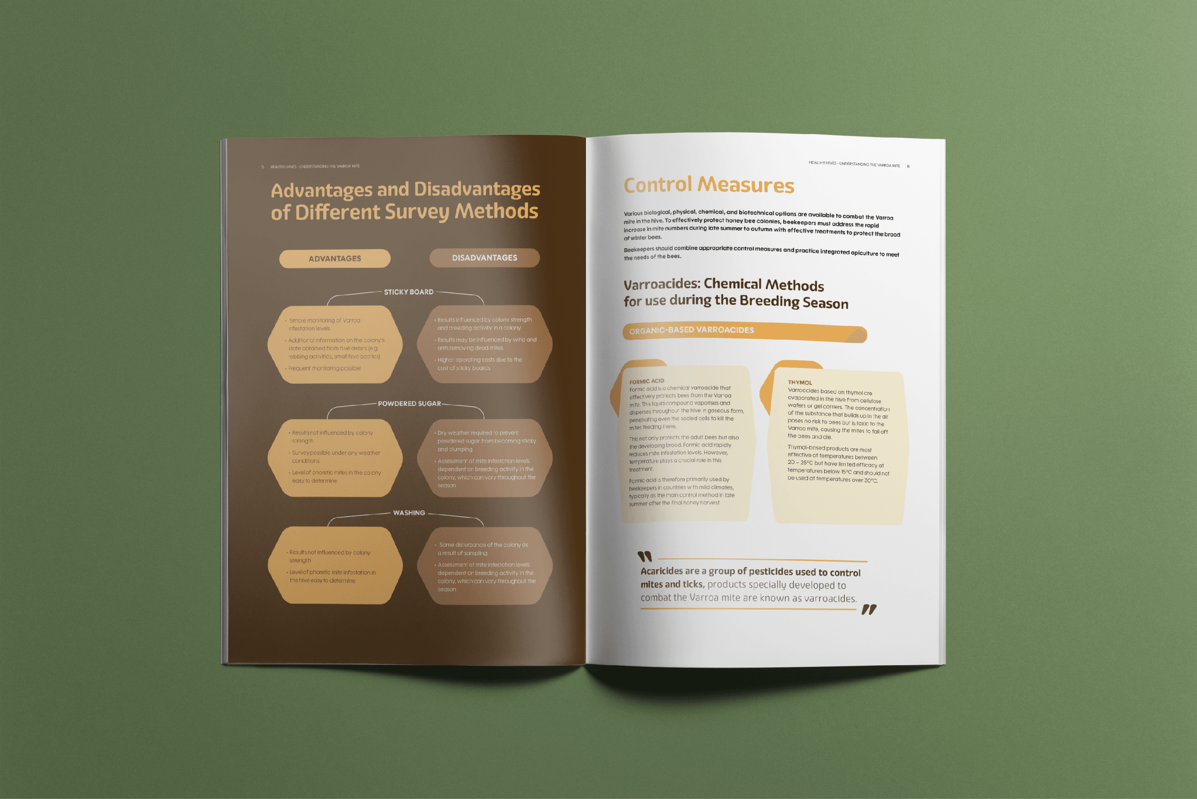 Double page spread of brochure layout, showing infographic layout for text.