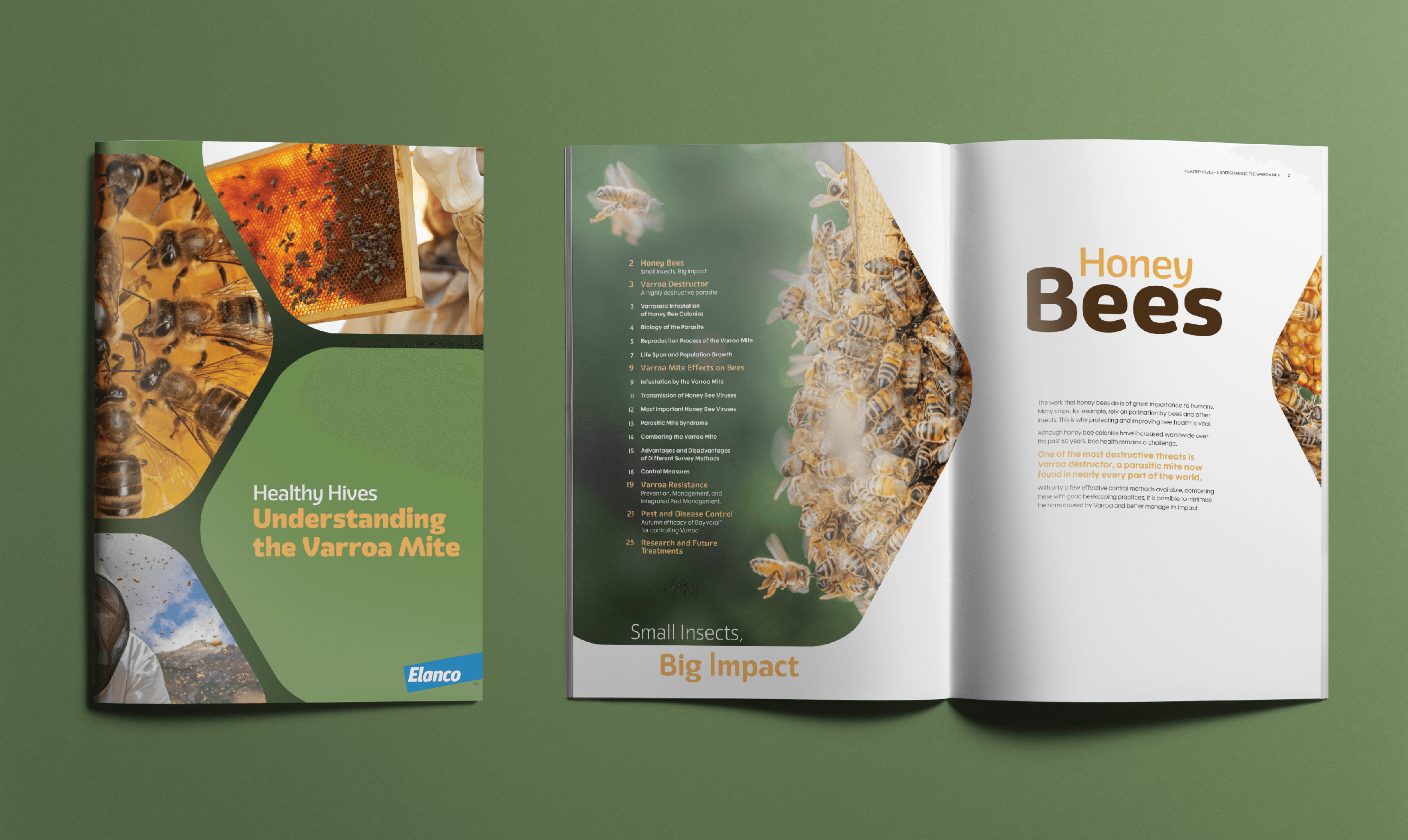 Brochure design layout for booklet about Bee Health and protection against Varroa Mite – showing cover and inside spread.