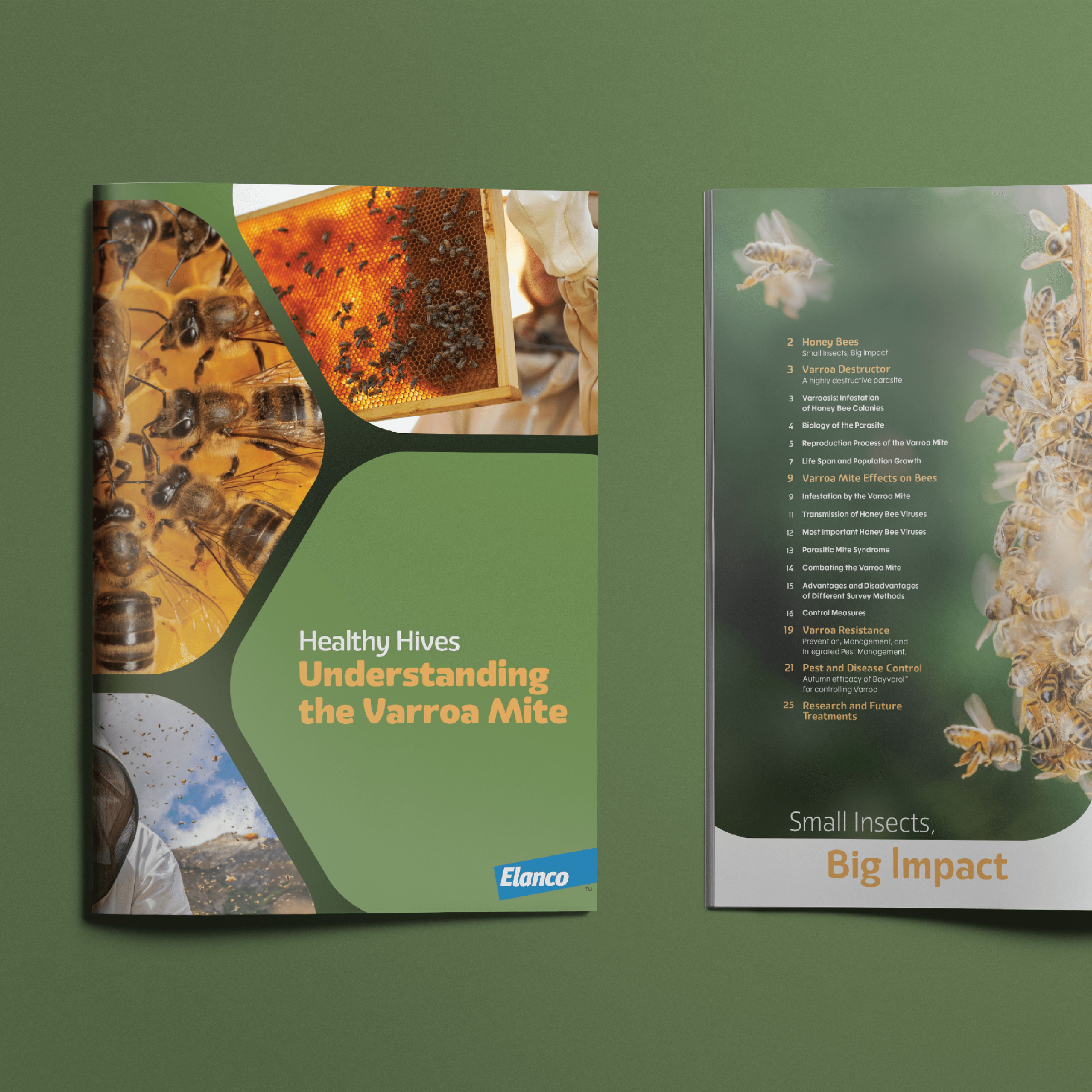 Brochure design for Elanco New Zealand showing front cover and one inside page with photos of bees.