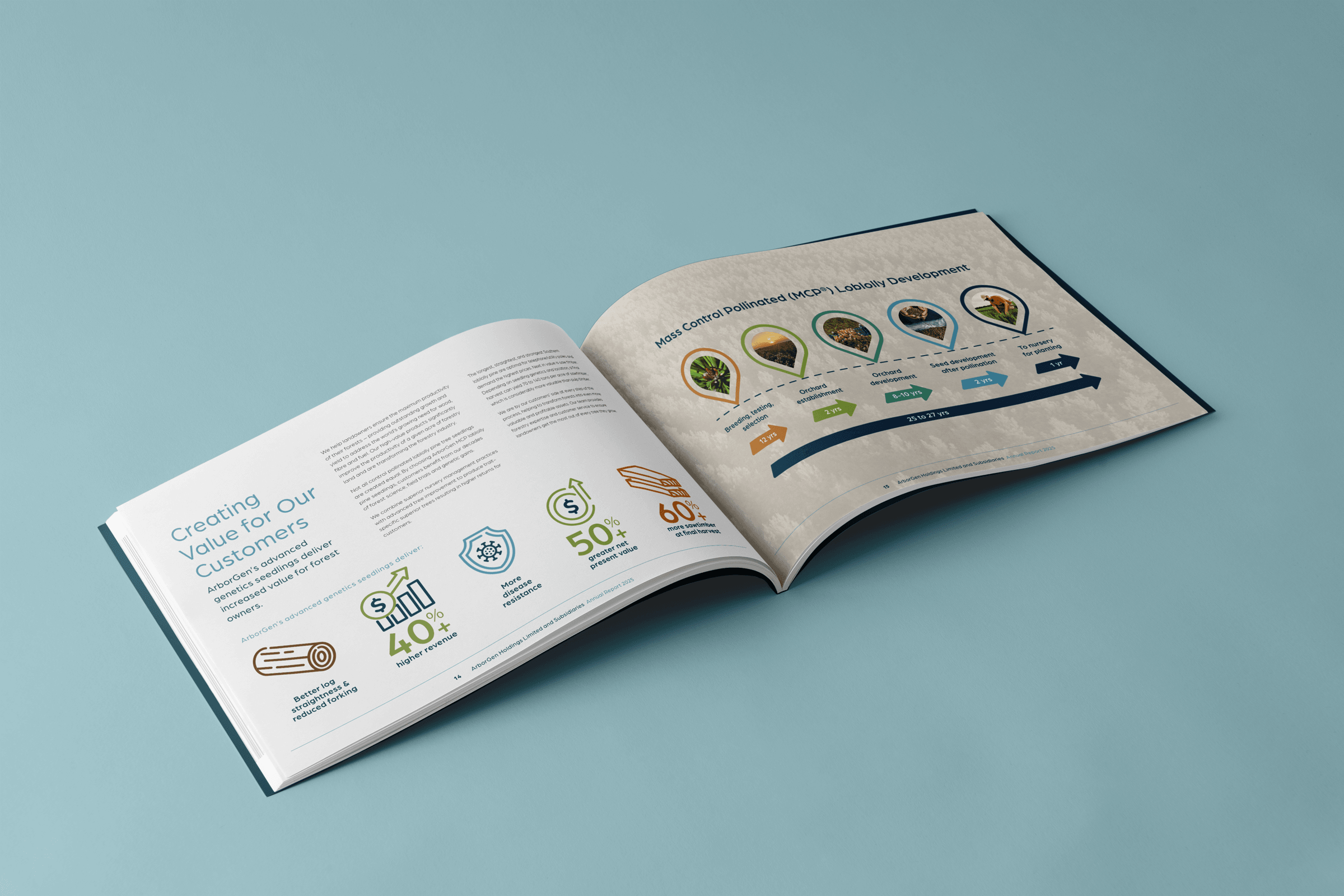 Open spread of a landscape page annual report design featuring custom icons and an infographic.