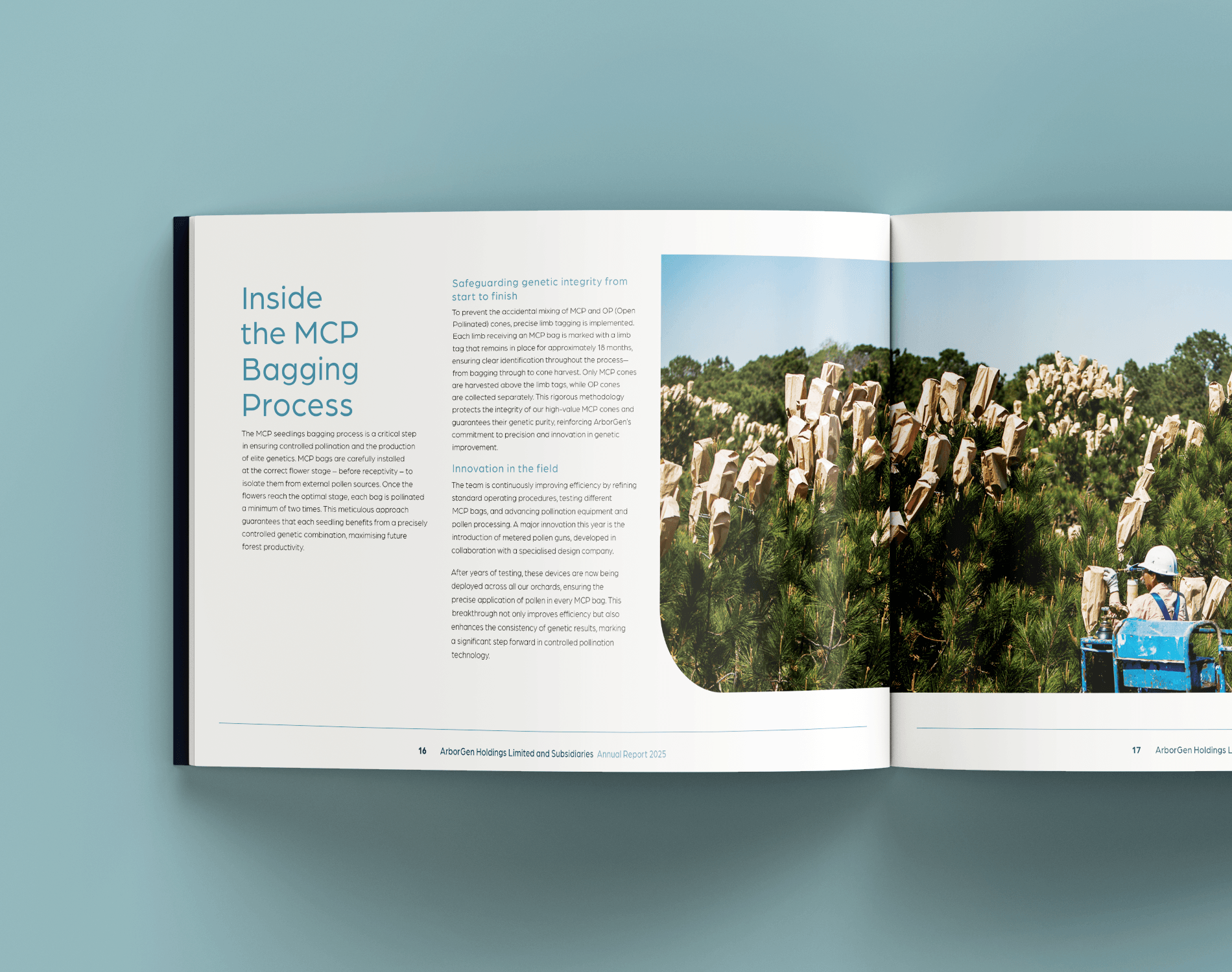 Open page spread of a landscape annual report design, with text on the left and then a photo of a worked and trees displayed across two pages.