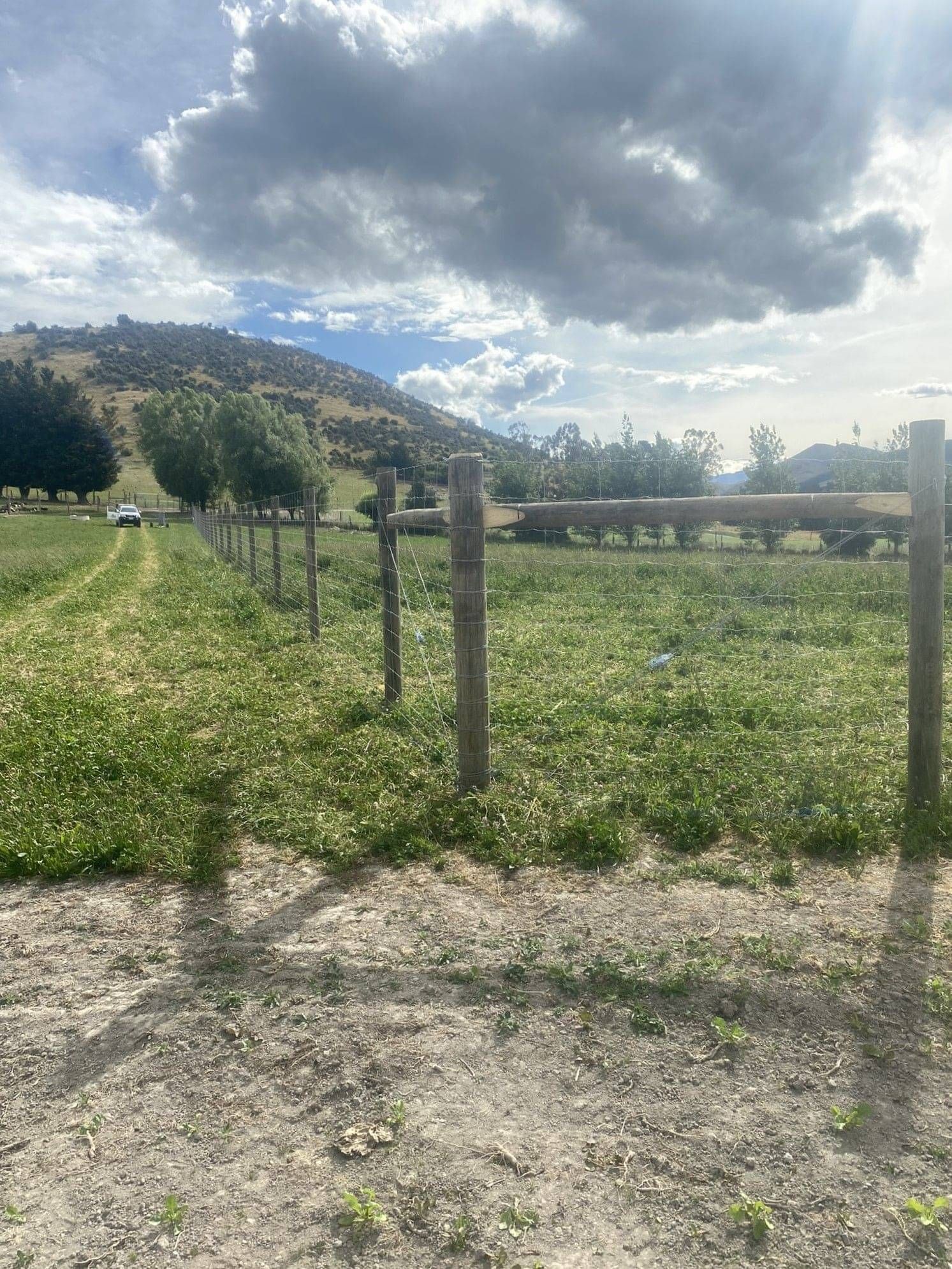 Deer fencing, NZ