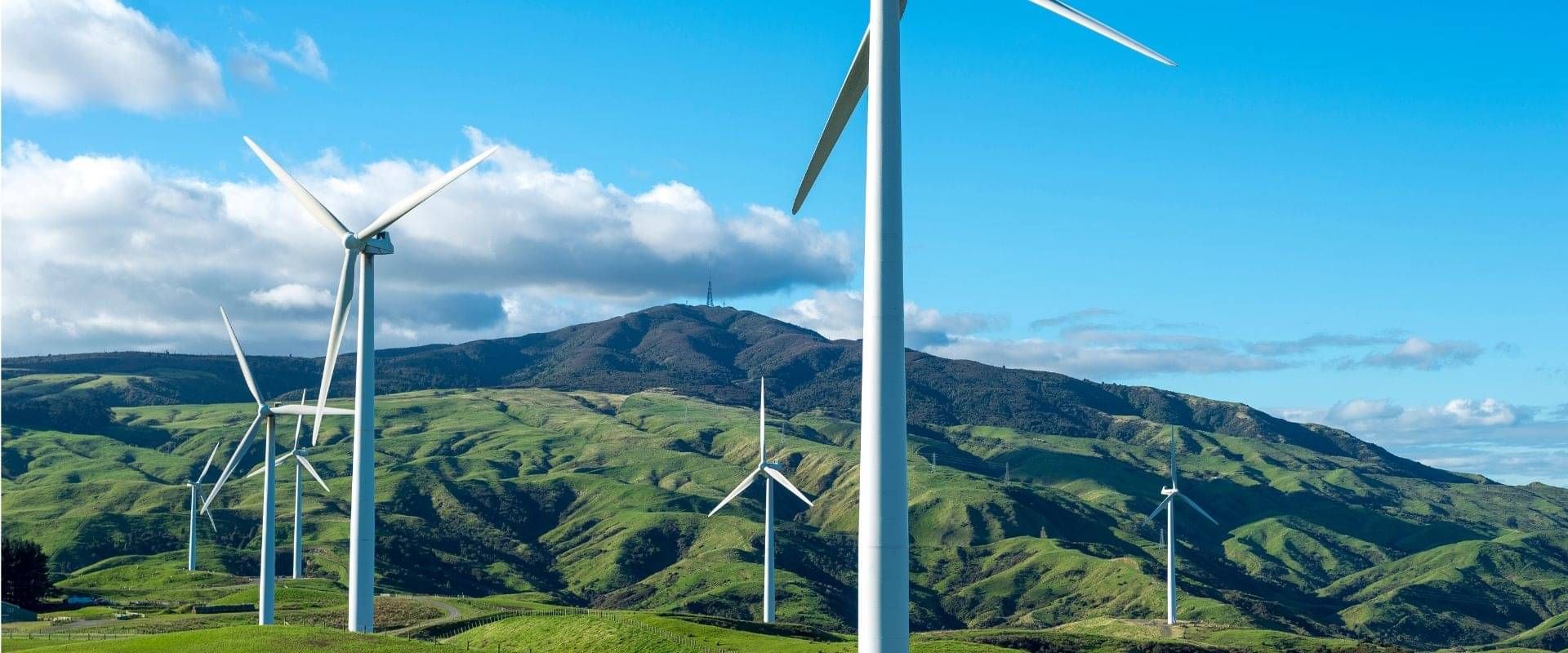 Electric Green - powering your business with expert electrical solutions