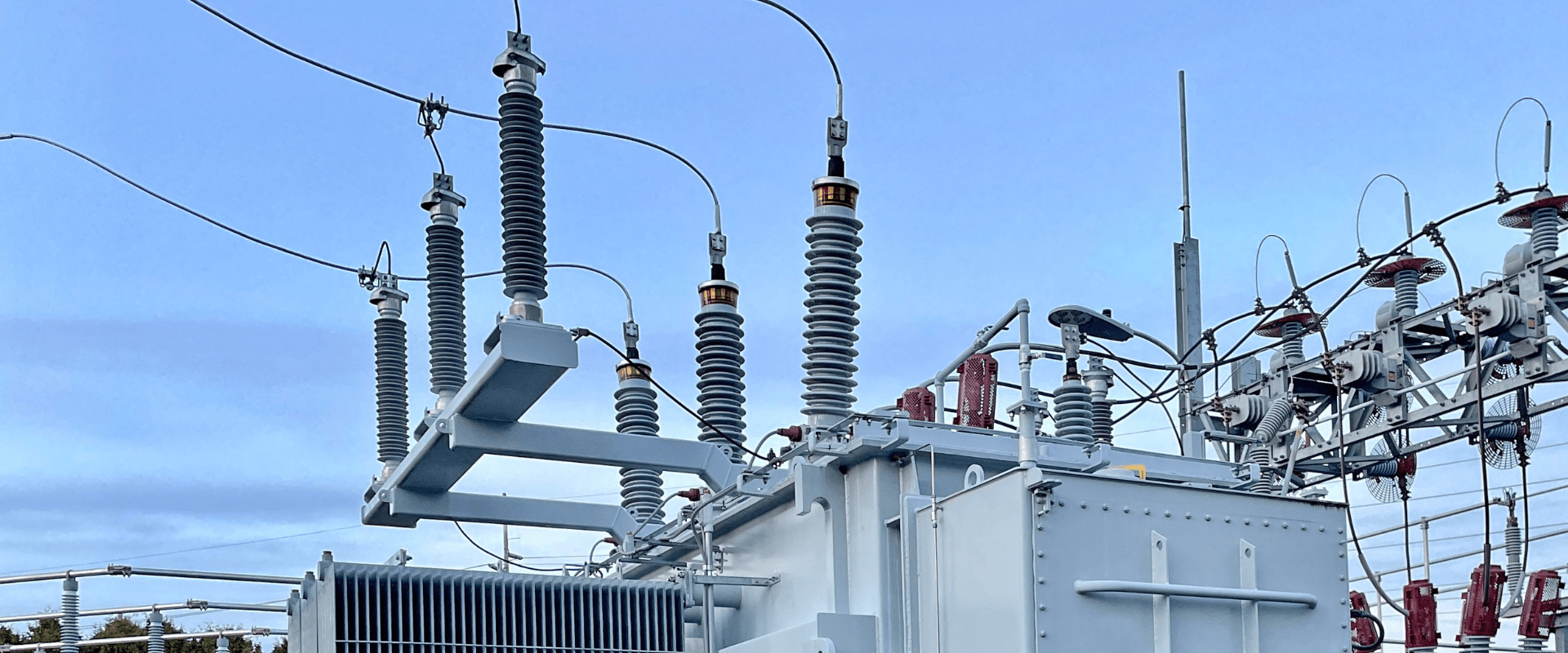 Contact Electric Green Ltd