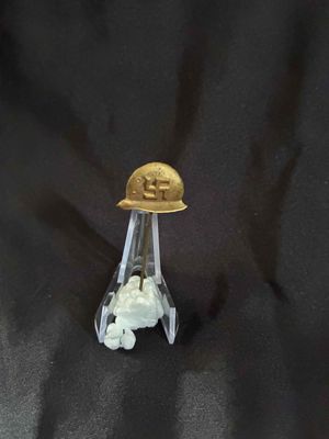 (SOLD)NSDAP supporters stick pin