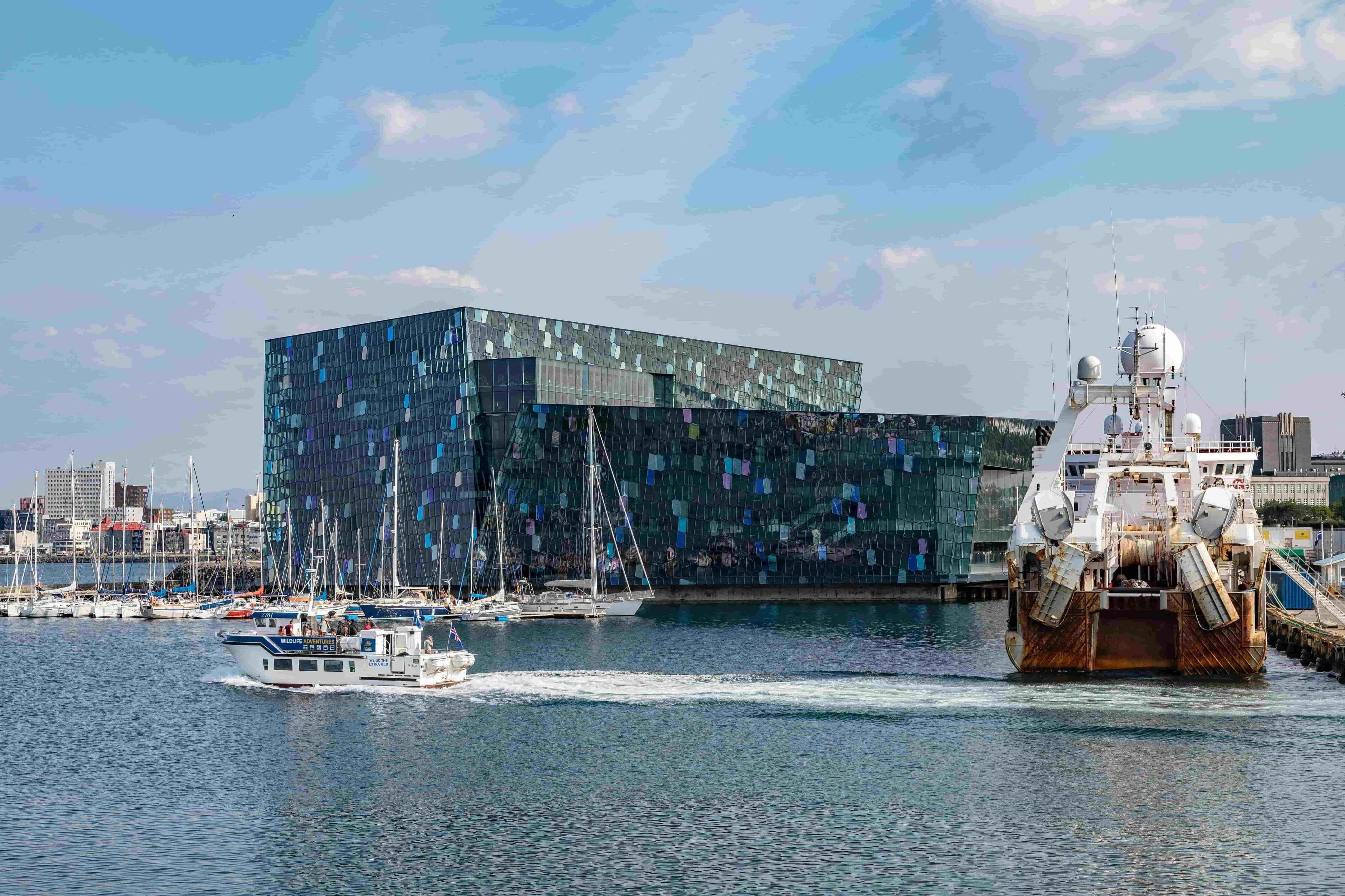 Global rope, netting, and hardware solutions by Hampidjan NZ, supporting industries from fishing to construction