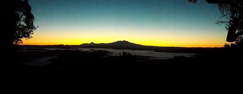 Matemateaonga Track Tramp