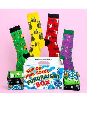 Jolly Soles Fundraising Socks - Animals