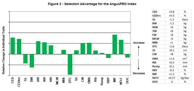 AngusPRO Index ($PRO) | Storth Oaks Angus | Storth Oaks Angus