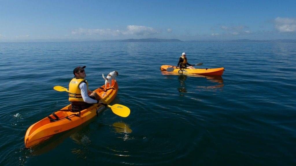 Kayaking gift vouchers